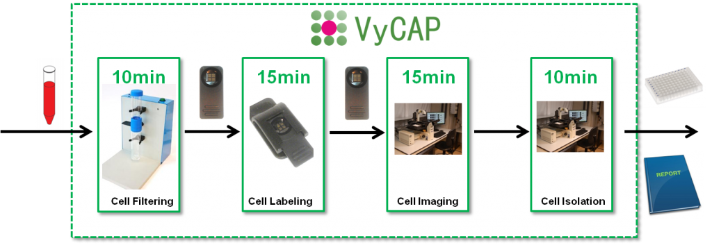 Vycap cell isolation method